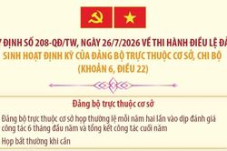 Quy định 208-QĐ/TW: Sinh hoạt định kỳ của đảng bộ trực thuộc cơ sở, chi bộ