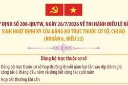 Quy định 208-QĐ/TW: Sinh hoạt định kỳ của đảng bộ trực thuộc cơ sở, chi bộ