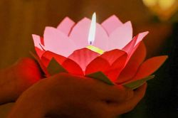 Lễ Vu Lan cài hoa hồng màu gì? Ý nghĩa từng màu hoa trên ngực áo