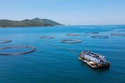 Khoa học, công nghệ tạo động lực đưa Việt Nam thành quốc gia biển mạnh