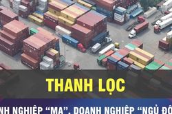 Chiến dịch làm sạch mã số thuế đã thanh lọc doanh nghiệp