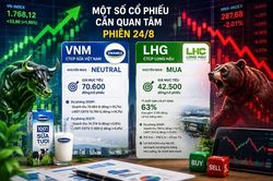 Cổ phiếu đáng chú ý 24/8: Điểm nhấn VNM và tiềm năng từ LHG