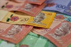 Du học sinh đóng góp khoảng 5 tỷ USD/năm cho kinh tế Malaysia