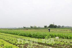 Lào Cai hỗ trợ phụ nữ khởi nghiệp giai đoạn 2026 - 2035