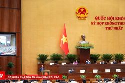 Quốc hội không đặt chỉ tiêu cứng giải quyết 60% đơn giám đốc thẩm, tái thẩm