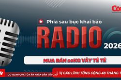 Radio Phía sau bục khai báo: Mua bán 10kg vảy tê tê, 3 bị cáo lĩnh tổng cộng 48 tháng tù