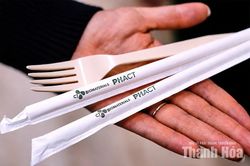 Từ đường thành nhựa: Cuộc cách mạng xanh có thực sự bắt đầu?