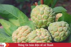 Những con mắt mùa thu