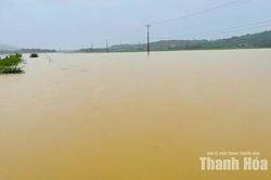 Hàng trăm ha cây trồng ở các xã Vân Du, Kim Tân bị ngập lụt