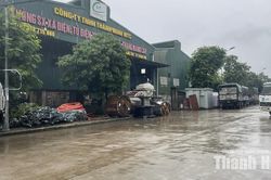 Trật tự, mỹ quan đô thị - Những “cái gai trong mắt”: Một vòng qua các tuyến đường trong KCN Đình Hương - Tây Bắc Ga