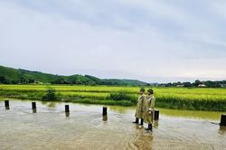 Xã Tây Đô chủ động ứng phó với mưa lũ