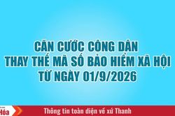 Căn cước công dân thay thế mã số BHXH từ ngày 01/9/2026