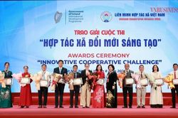 HTX Dịch vụ nông nghiệp Thiệu Hưng đoạt giải Cuộc thi “Hợp tác xã đổi mới sáng tạo”