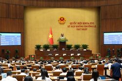 Quốc hội thông qua cơ chế đặc thù để xử lý vi phạm về kinh tế