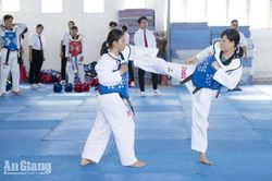 366 võ sinh thi thăng đẳng môn Taekwondo