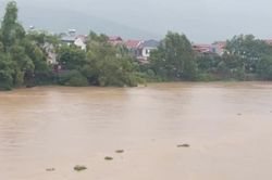 Lũ khẩn cấp trên sông Lục Nam, sông Thương và sông Cầu