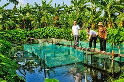 Bắc Ninh: Bổ sung 400 tỷ đồng nguồn vốn tín dụng chính sách