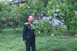 Đảng viên - thương binh Trần Văn Hiền: Gương mẫu, làm kinh tế giỏi