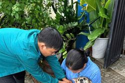 Tăng cường giám sát, hạn chế thấp nhất tử vong do bệnh dại