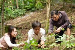 Mở sinh kế du lịch dưới tán rừng