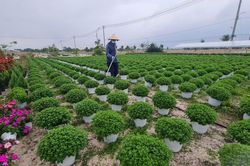 Đổi mới công tác khuyến nông