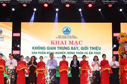 Khai mạc không gian giới thiệu sản phẩm nông nghiệp nông thôn và ẩm thực Đà Nẵng
