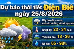 Bản tin Dự báo thời tiết ngày 25/8/2026