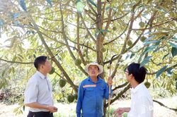 Xây dựng chuỗi xuất khẩu trái cây vào Trung Quốc