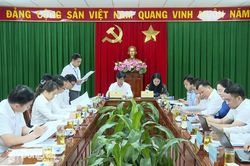 HĐND thành phố Đồng Nai thẩm tra 3 dự thảo nghị quyết thuộc lĩnh vực pháp chế