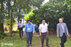 Đoàn cán bộ lãnh đạo trẻ 3 Đảng: Việt Nam - Lào - Campuchia khảo sát thực tế mô hình trồng ca cao tại Đồng Nai