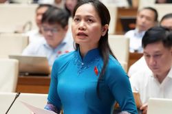 Quốc hội thảo luận về dự án Bộ luật Hình sự (sửa đổi)