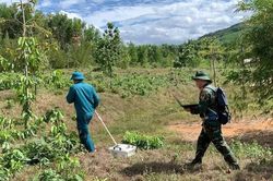 Sử dụng radar xuyên đất tìm kiếm hài cốt liệt sĩ