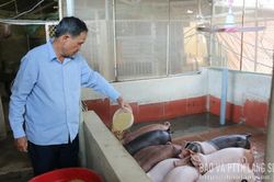 Nông dân Hữu Lũng xây dựng nông thôn mới