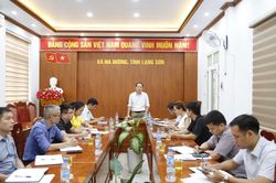Họp bàn phương án quy hoạch không gian trưng bày hóa thạch ngoài trời tại Điểm Thế giới đầm hồ Na Dương