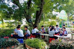 Gieo màu xanh, mở rộng không gian học tập