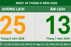 Lịch Âm Dương ngày mai 25/8/2026: Chi tiết giờ hoàng đạo, tuổi hợp và việc nên triển khai