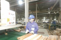 Chuyển biến tích cực trong công tác an toàn, vệ sinh lao động