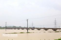 Tỉnh Ninh Bình: Cấm toàn bộ phương tiện thủy qua khu vực cầu Đế trên sông Bôi do mưa lũ