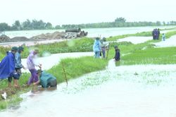 Nam Minh chủ động ứng phó bão số 4, bảo vệ sản xuất nông nghiệp