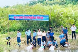 Kim Phú: Thả hơn 20.000 cá giống tái tạo nguồn lợi thủy sản