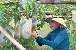 Trao 'cần câu' để thoát nghèo