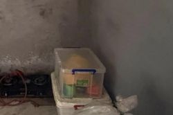 Tàng trữ súng đạn, đối tượng ở Hải Phòng lĩnh 3,5 năm tù