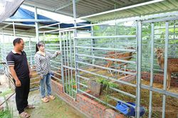 Những 'đầu tàu' làm giàu trên đất khó