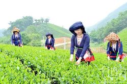 Hơn 808.000 tỷ đồng triển khai Chương trình phát triển văn hóa - xã hội, nông thôn, dân tộc và miền núi