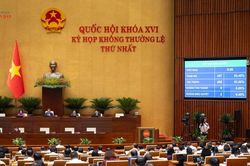 Quốc hội thông qua Luật sửa đổi, bổ sung một số điều của 10 luật liên quan đến thủ tục hành chính, điều kiện kinh doanh trong lĩnh vực nông nghiệp và môi trường