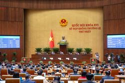Giảm ngay 30% thuế thu nhập cá nhân và thuế thu nhập doanh nghiệp trong kỳ tính thuế 2026