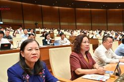 Quy định nguy&ecirc;n tắc, ch&iacute;nh s&aacute;ch của Nh&agrave; nước về h&ograve;a giải ở cơ sở