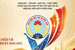 Một nhiệm kỳ mới: Đại hội VII Liên minh HTX Việt Nam sắp khai mạc tại Hà Nội