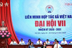 Phiên trù bị Đại hội đại biểu toàn quốc Liên minh HTX Việt Nam khóa VII, nhiệm kỳ 2026-2031