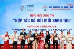 Li&ecirc;n minh HTX Việt Nam vinh danh 13 HTX xuất sắc tại Cuộc thi 'HTX đổi mới s&aacute;ng tạo' 2026